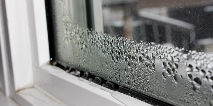 Condensation on Window Condensation on Window