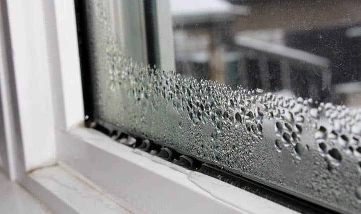 Condensation on Window