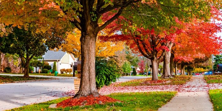 Fall HVAC Tune-Up Fall HVAC Tune-Up