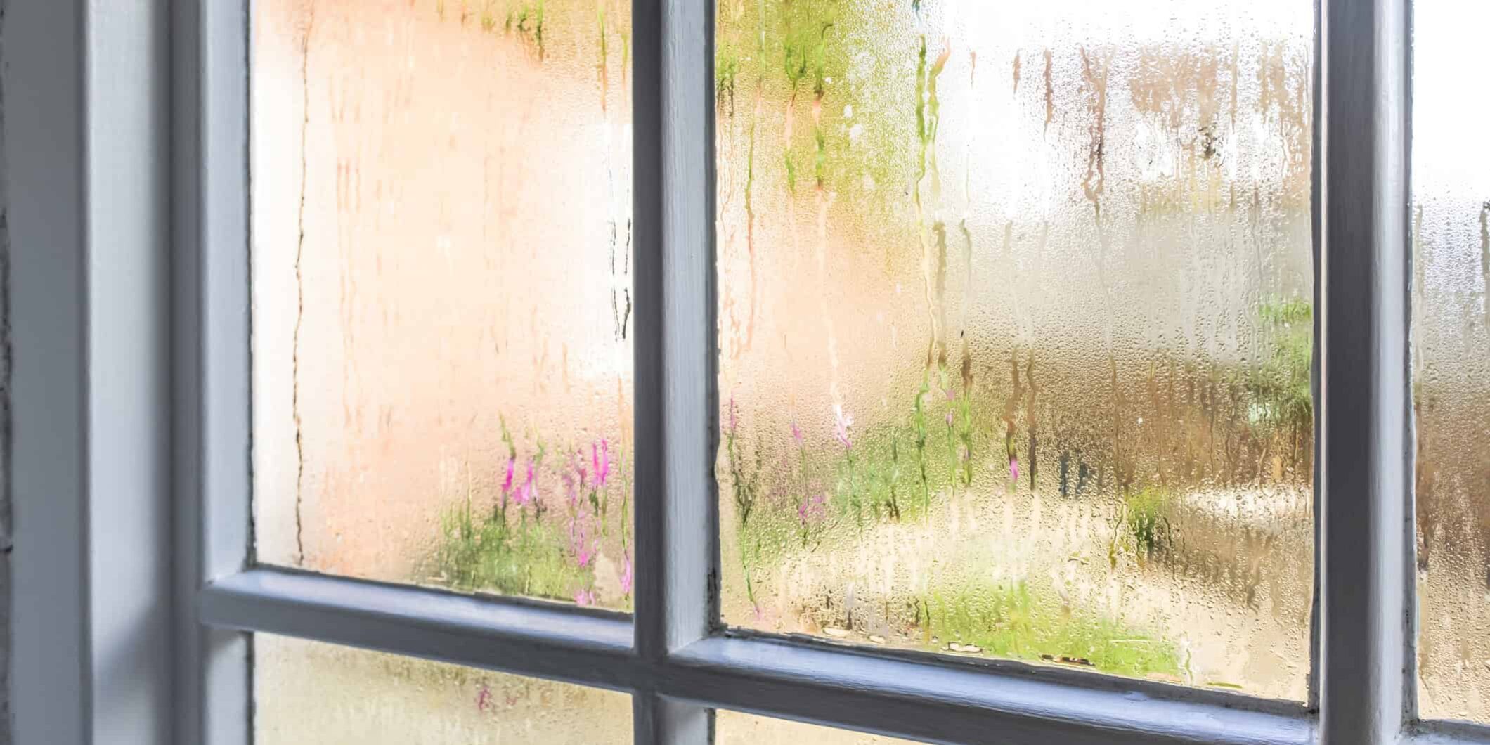 Condensation on old window panes
